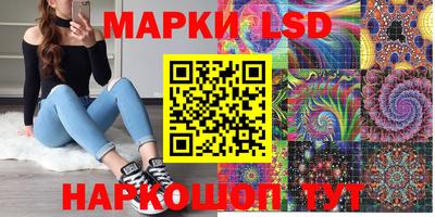 индика Кулебаки