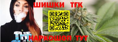 индика Кулебаки