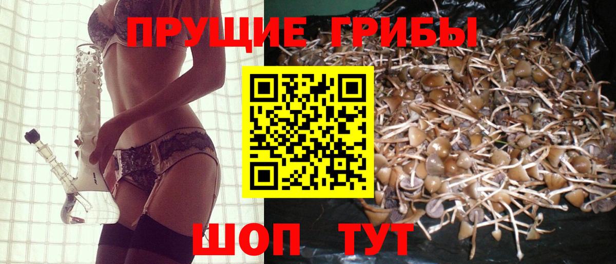 Псилоцибиновые грибы Psilocybine cubensis Ижевск