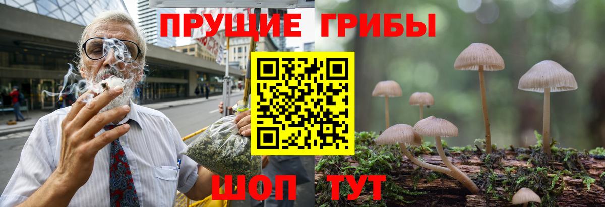 Ижевск  Галлюциногенные грибы Psilocybe  Вход с VPN  Псилоцибиновые грибы Magic Shrooms 